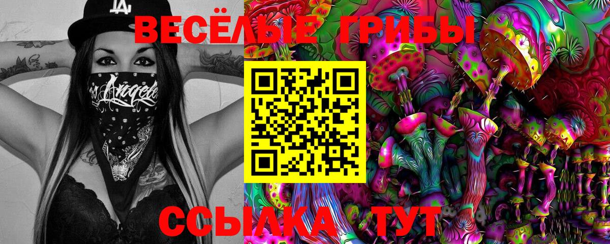 Псилоцибиновые грибы Cubensis Мурино