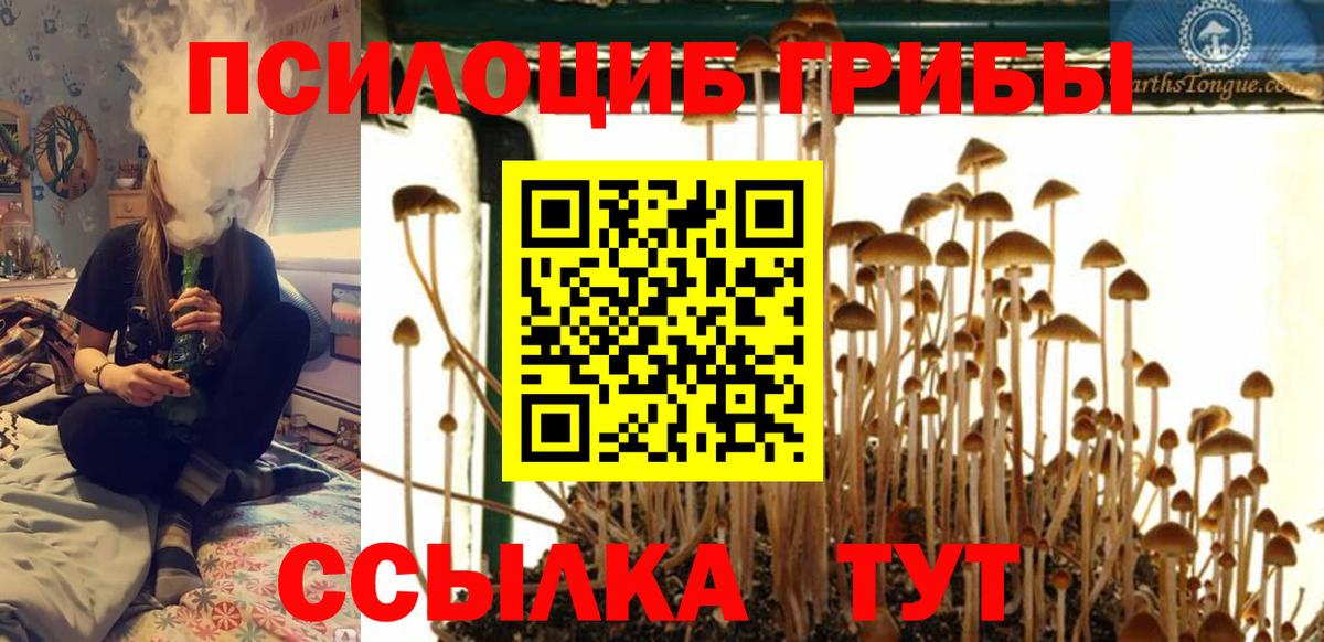 Галлюциногенные грибы GOLDEN TEACHER  Вход с VPN  Мурино 
